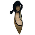 Load image into Gallery viewer, Christian Dior Black Mesh Kitten Heel Pumps with Suede Ankle Ties