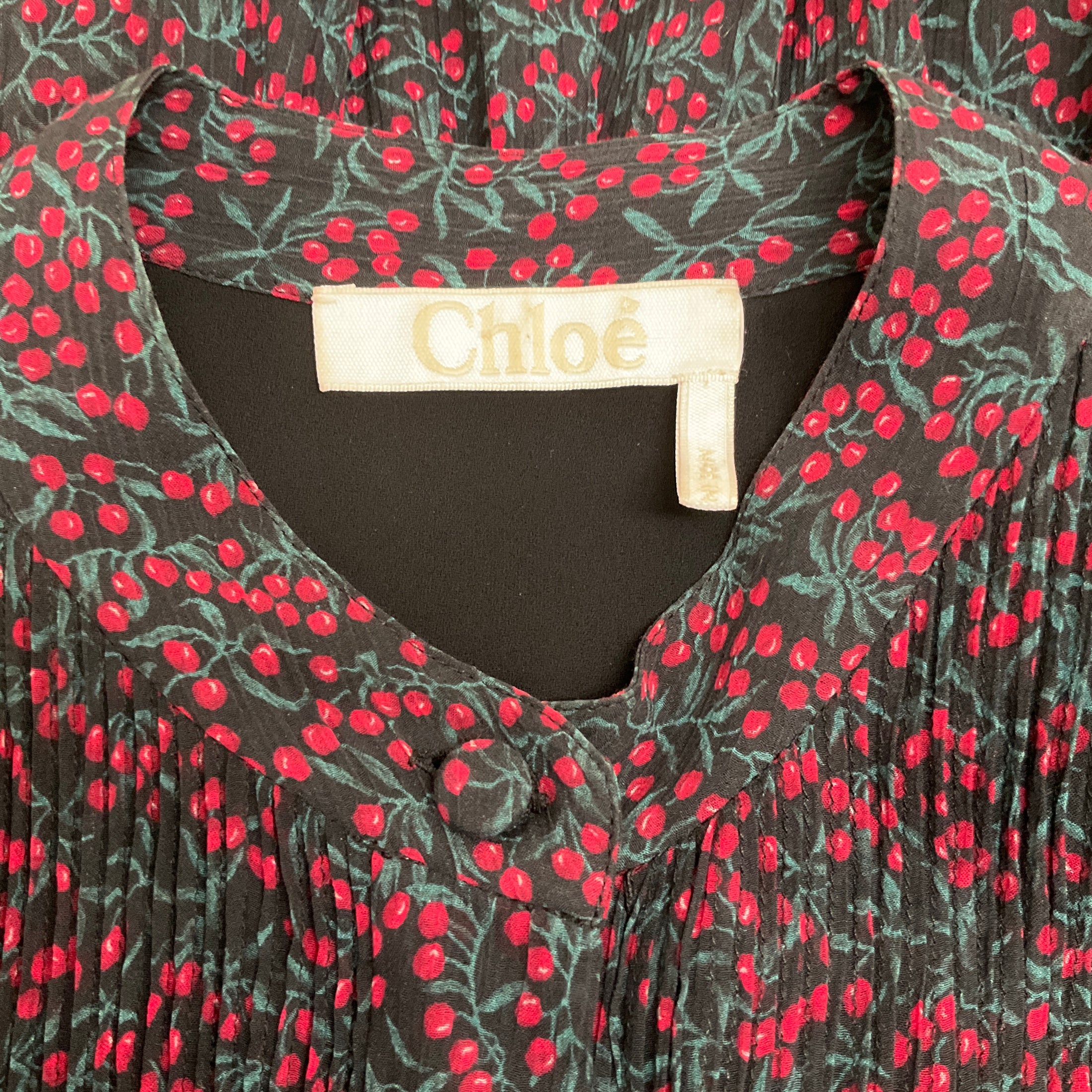 Chloe Crimson / Black Berry Print Dress