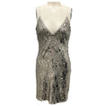 Load image into Gallery viewer, Ramy Brook Silver Sequin Lila Dress