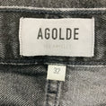 Load image into Gallery viewer, Agolde Panther Cooper Cargo Jeans