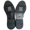Load image into Gallery viewer, Simkhai Silver Metallic Leather Harper Loafers