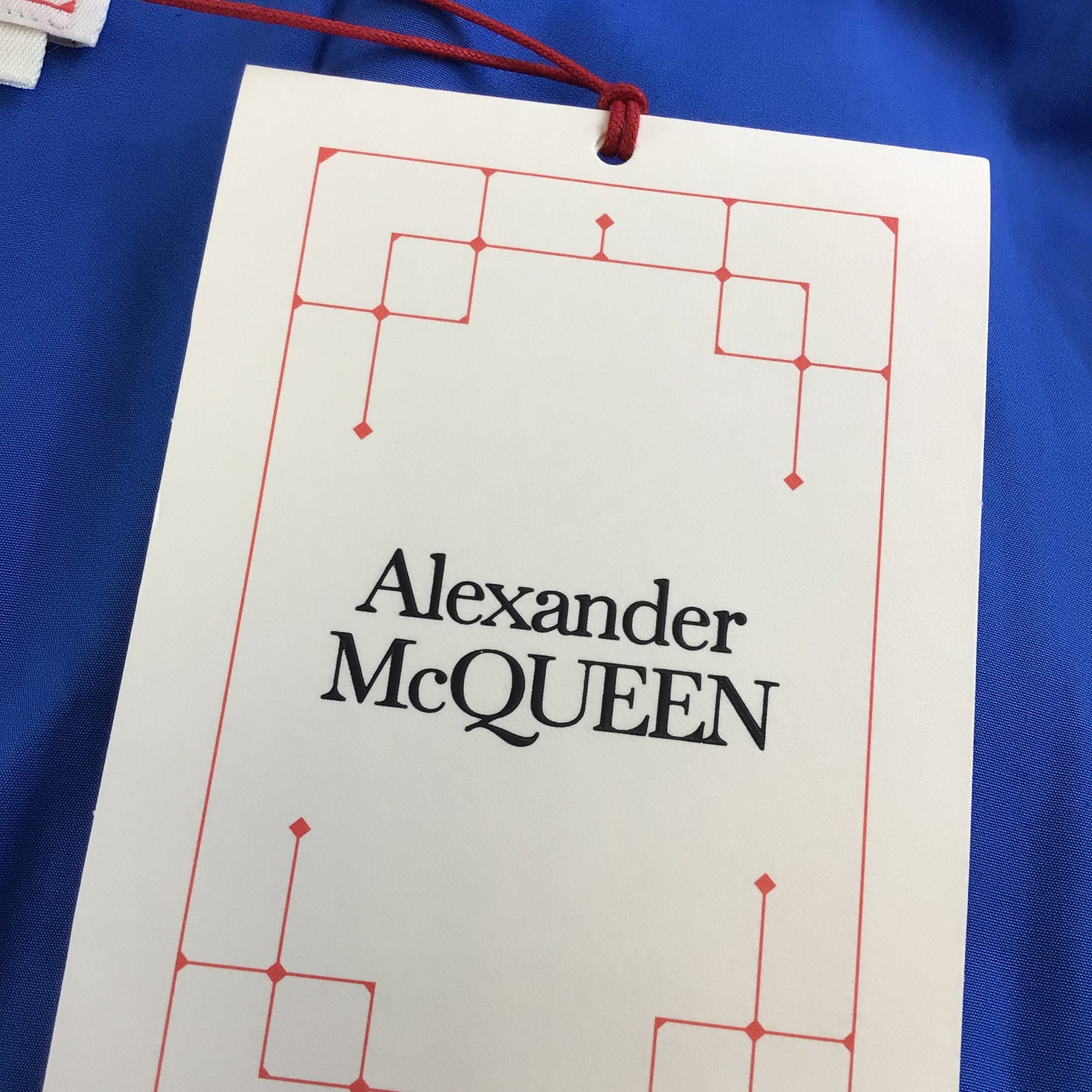 Alexander McQueen Galactic Blue 2023 Sleeveless Cotton Day Dress