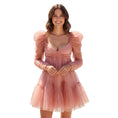 Load image into Gallery viewer, Zimmermann Blush Tulle Ruched Mini Dress
