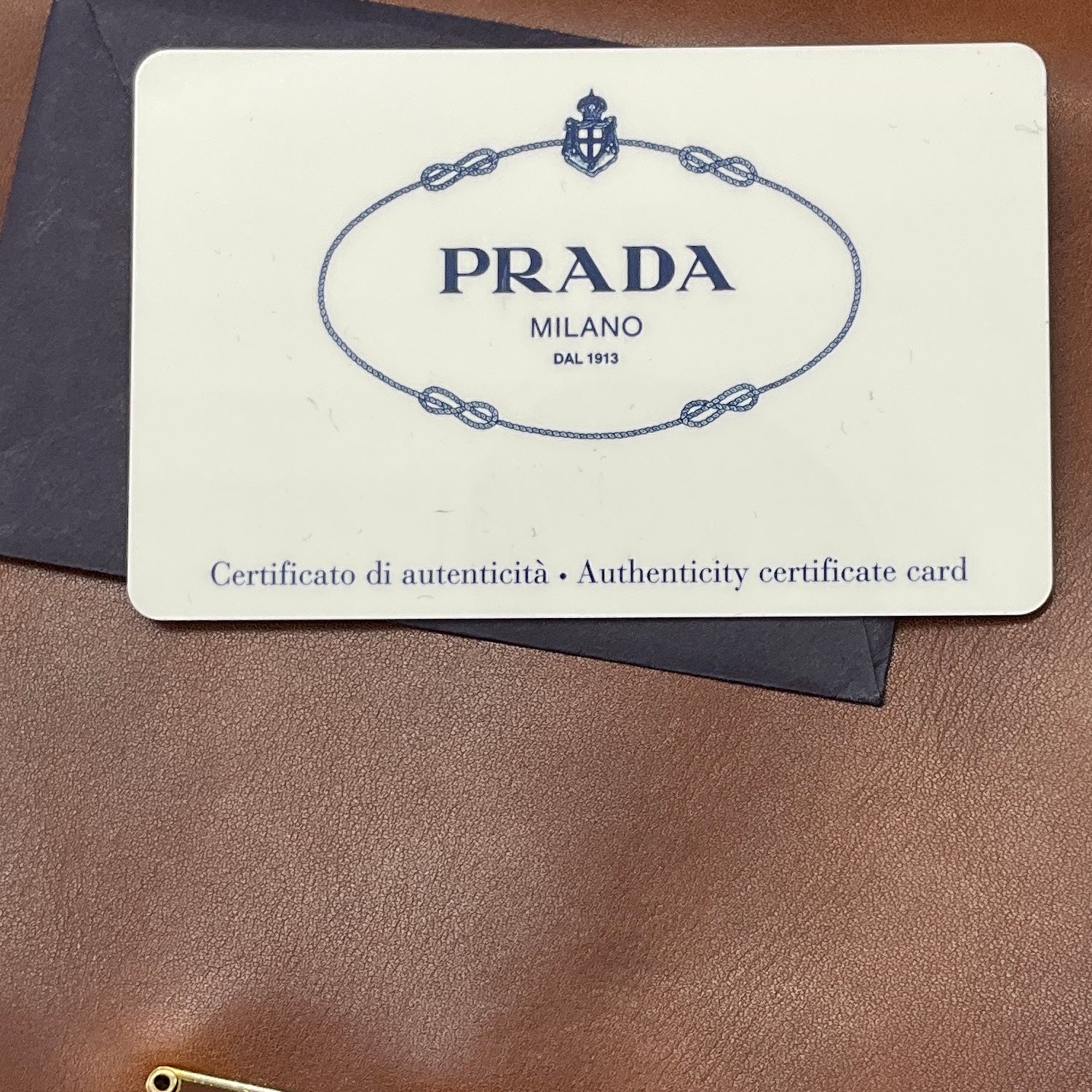 Prada Rare Brown Antik Calf Soun Cuoio Ebano Calfskin Leather Shoulder Bag with Logo Plaque