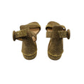 Load image into Gallery viewer, Gianvito Rossi Beige / Gold Studded Suede Ankle Strap Flat Sandals
