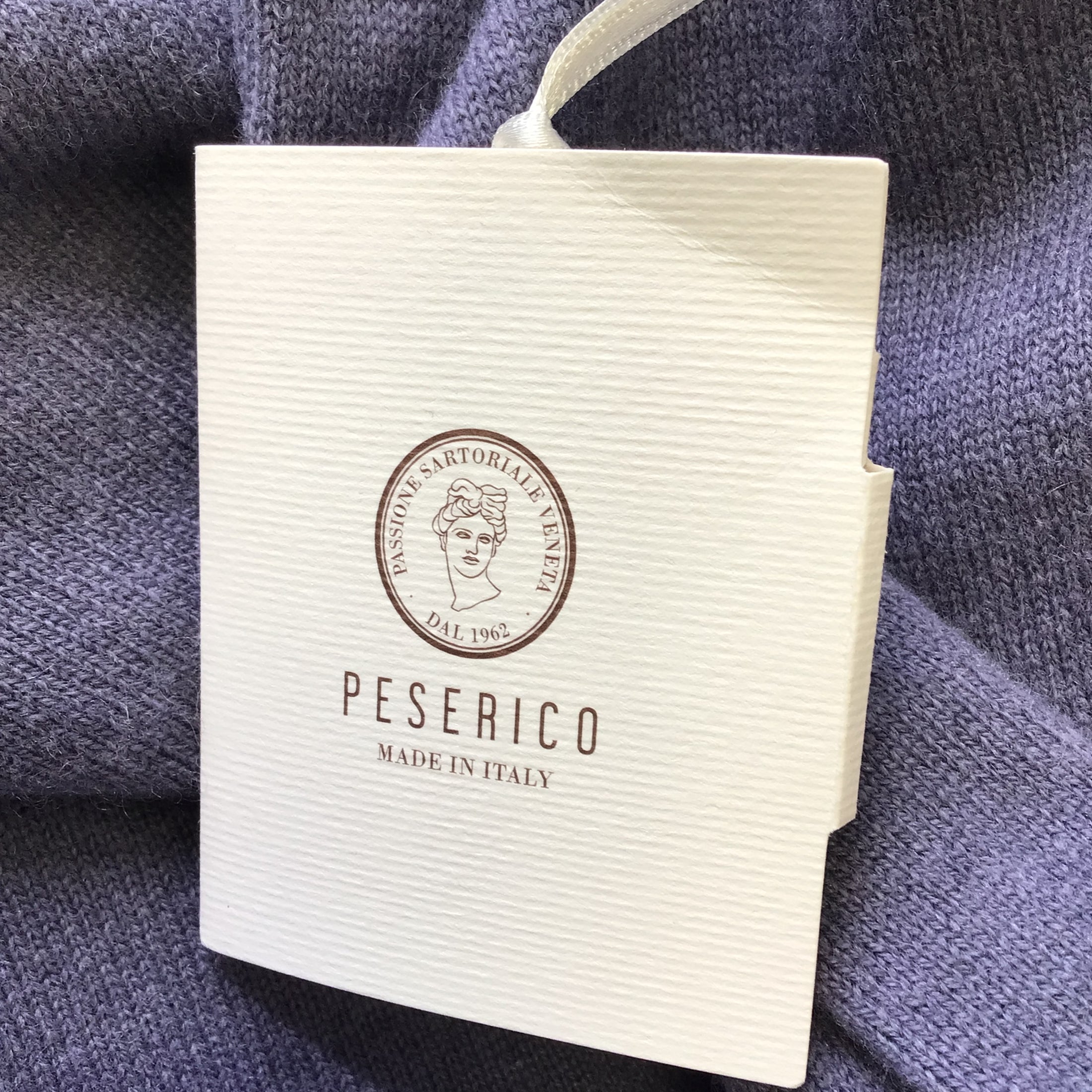 Peserico Purple Long Sleeved Cashmere Knit Crewneck Pullover Sweater