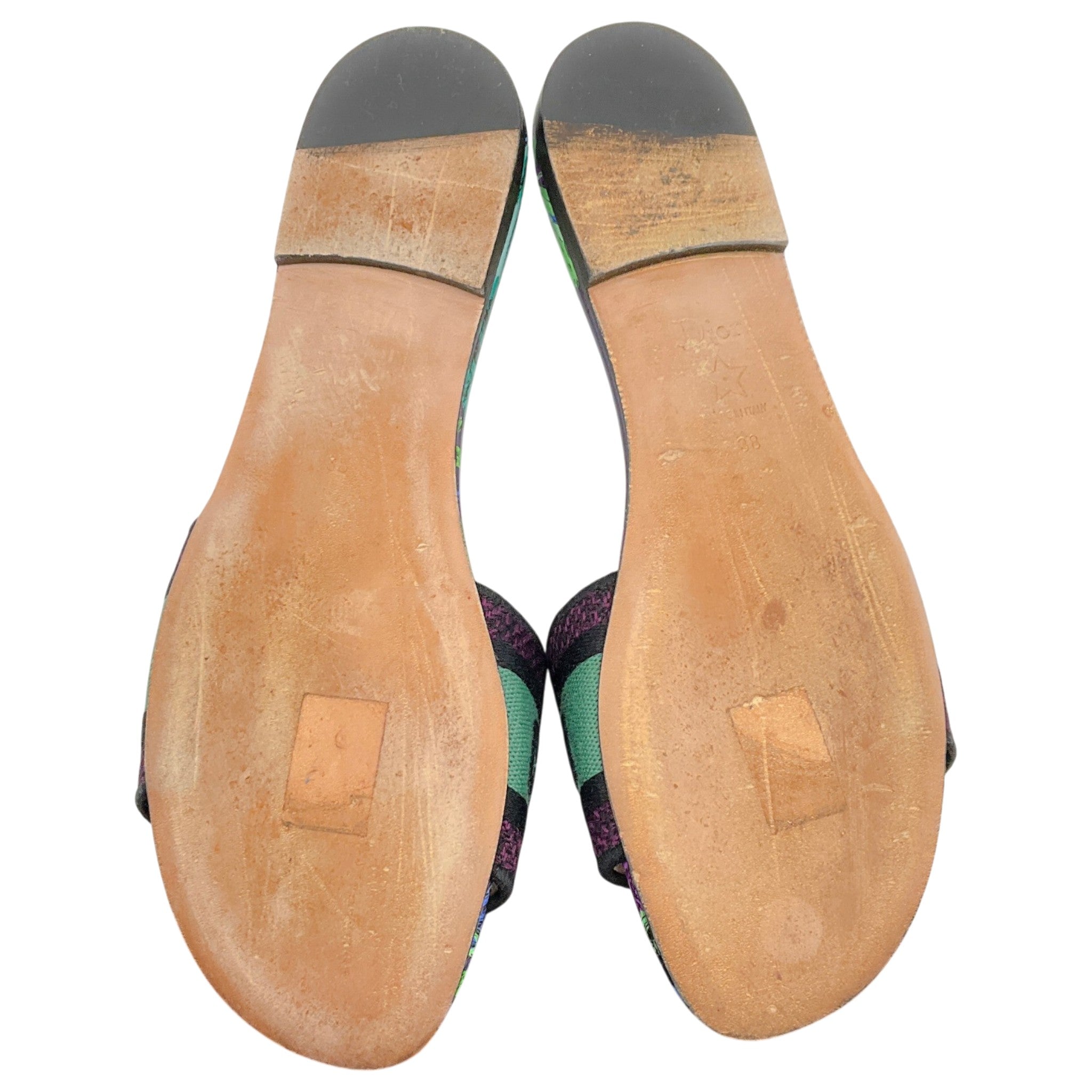 Christian Dior Turquoise / Purple Dway Slide Sandals