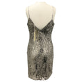 Load image into Gallery viewer, Ramy Brook Silver Sequin Lila Dress
