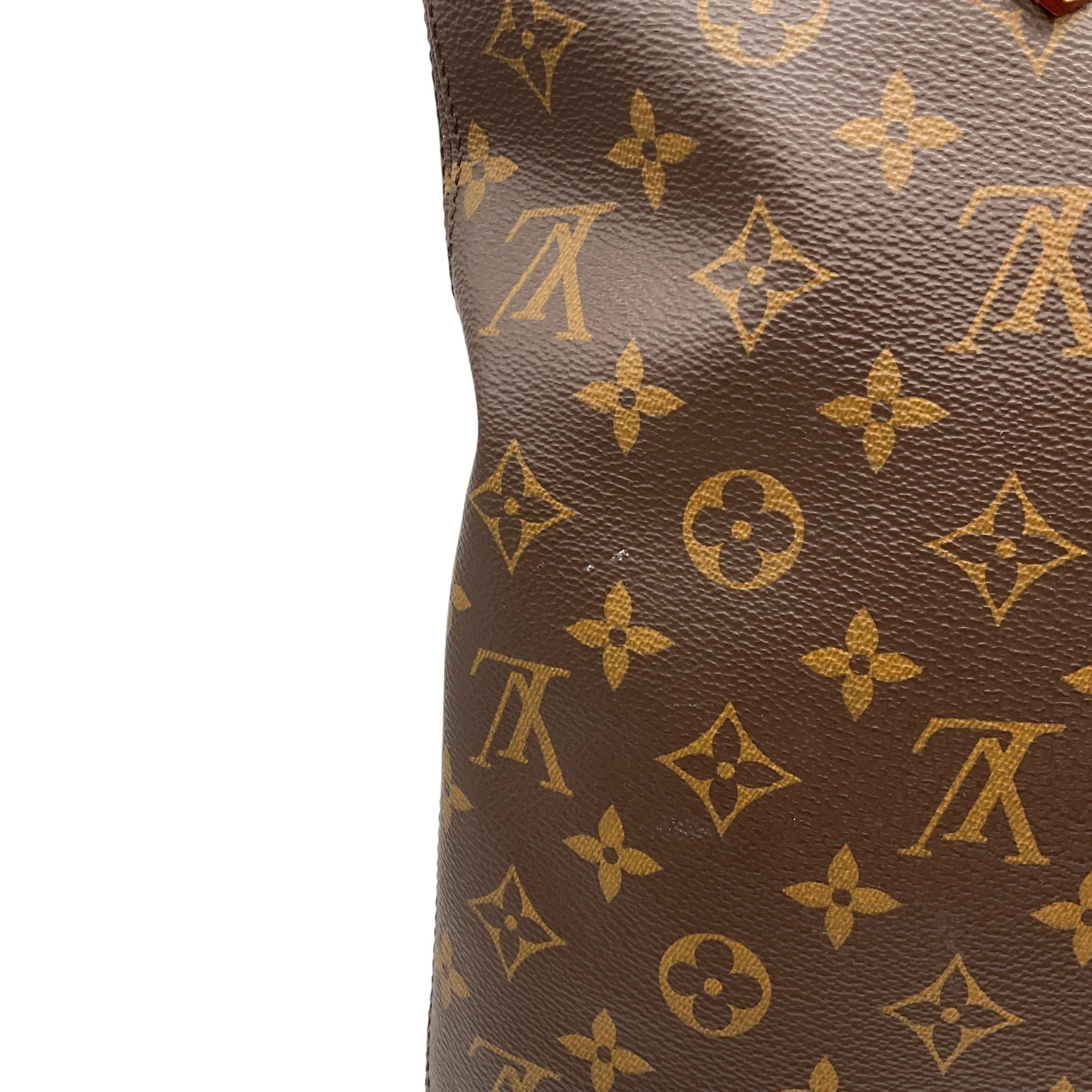 Louis Vuitton 2020 Carry It Monogram Tote