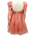 Load image into Gallery viewer, Zimmermann Blush Tulle Ruched Mini Dress
