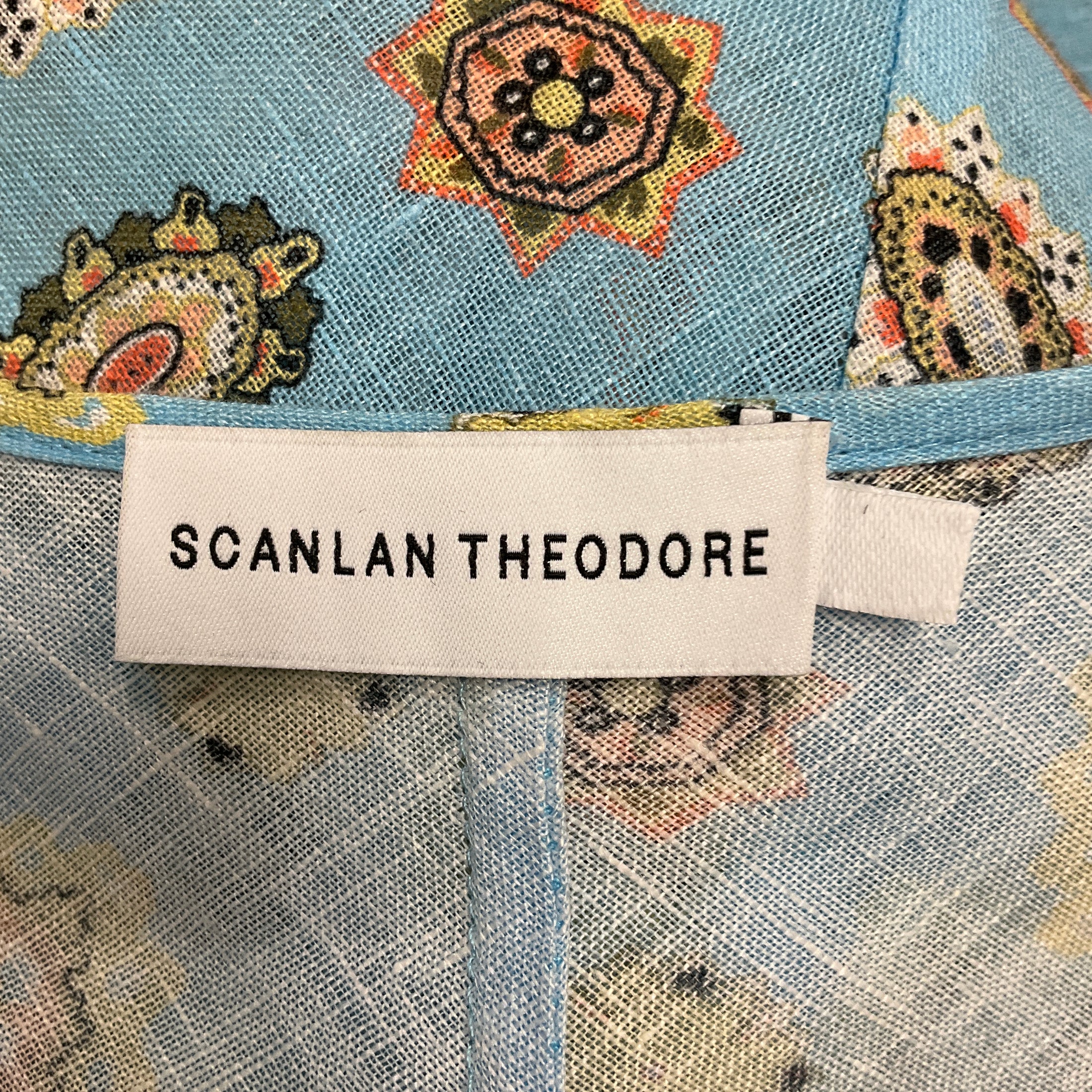 Scanlan Theodore Sky Blue Printed Tie Front Linen Maxi Dress