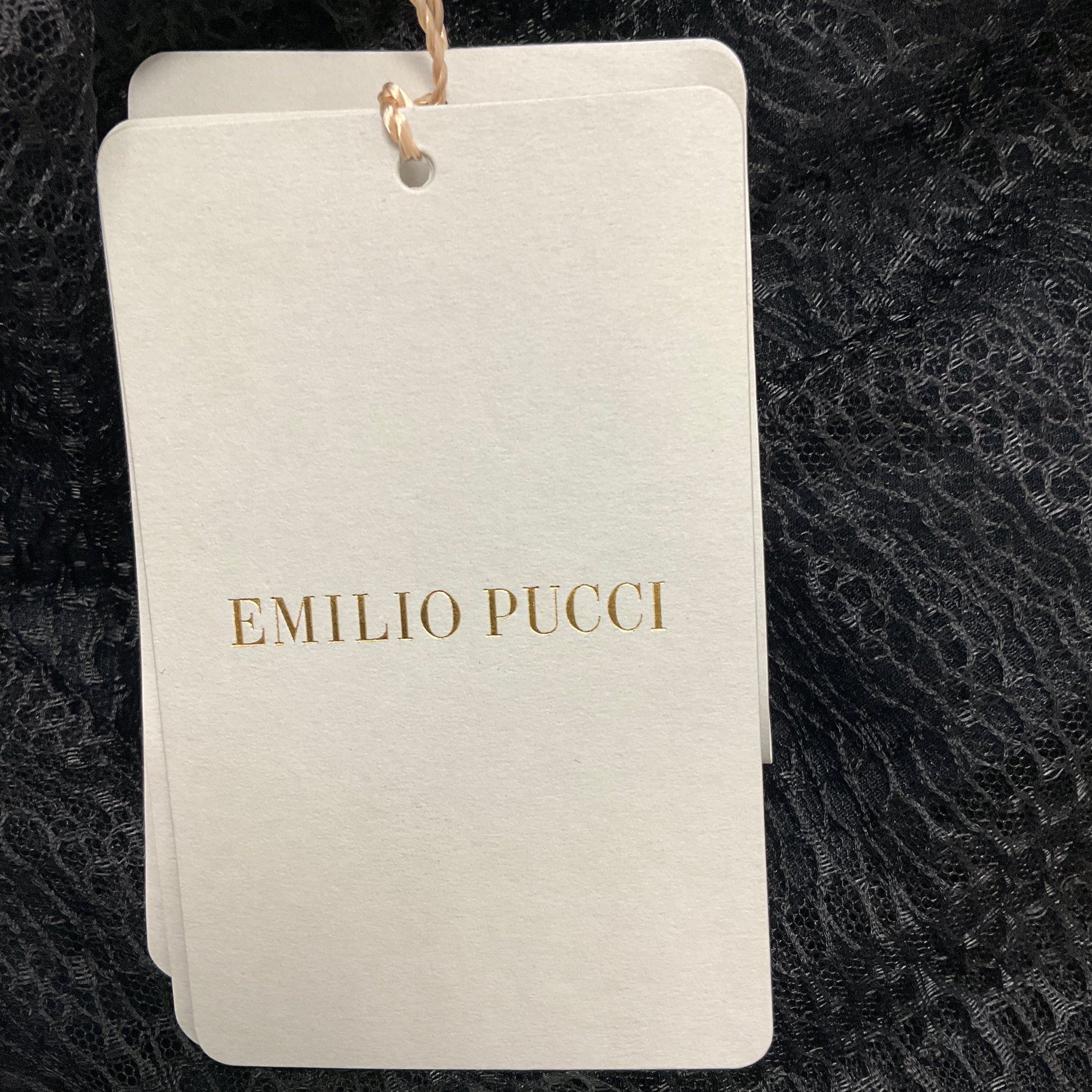 Emilio Pucci Black Netted Lace and Silk Corset Dress