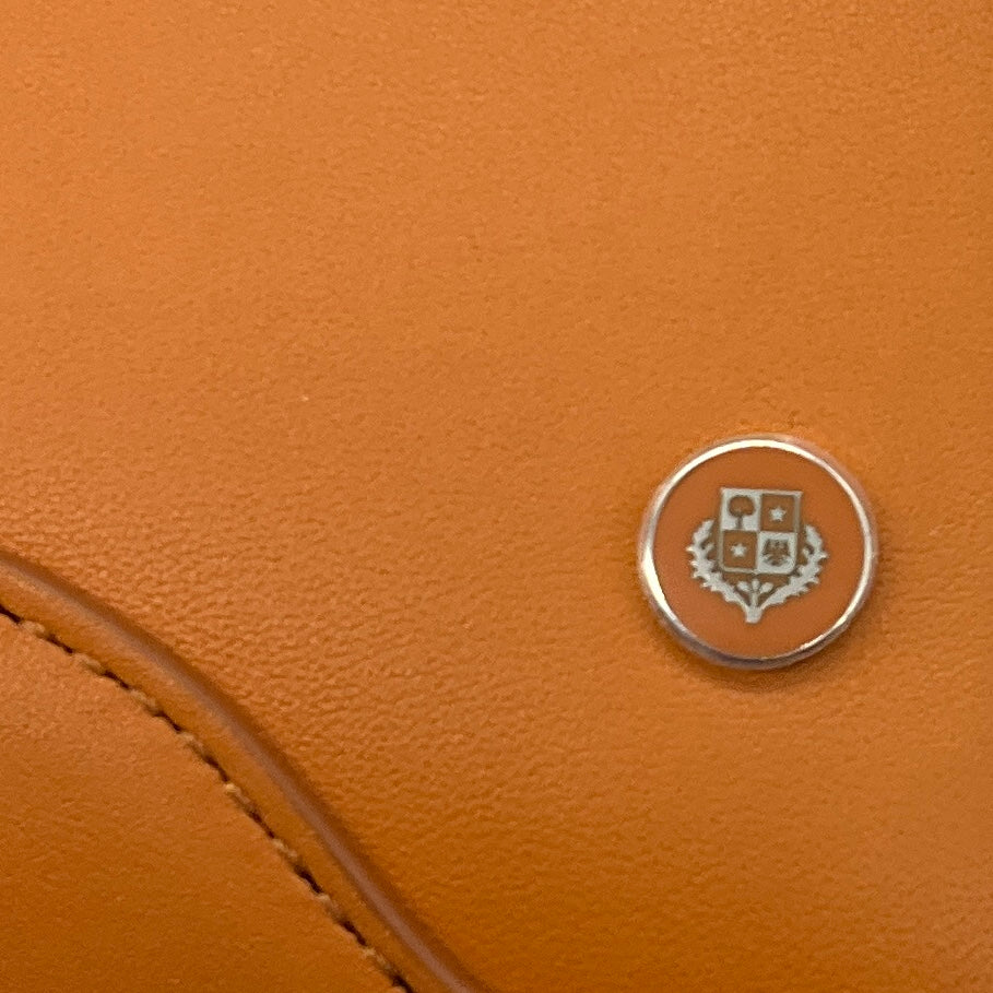 Loro Piana Tan Sesia Micro Smooth Satin Calf Leather Handbag