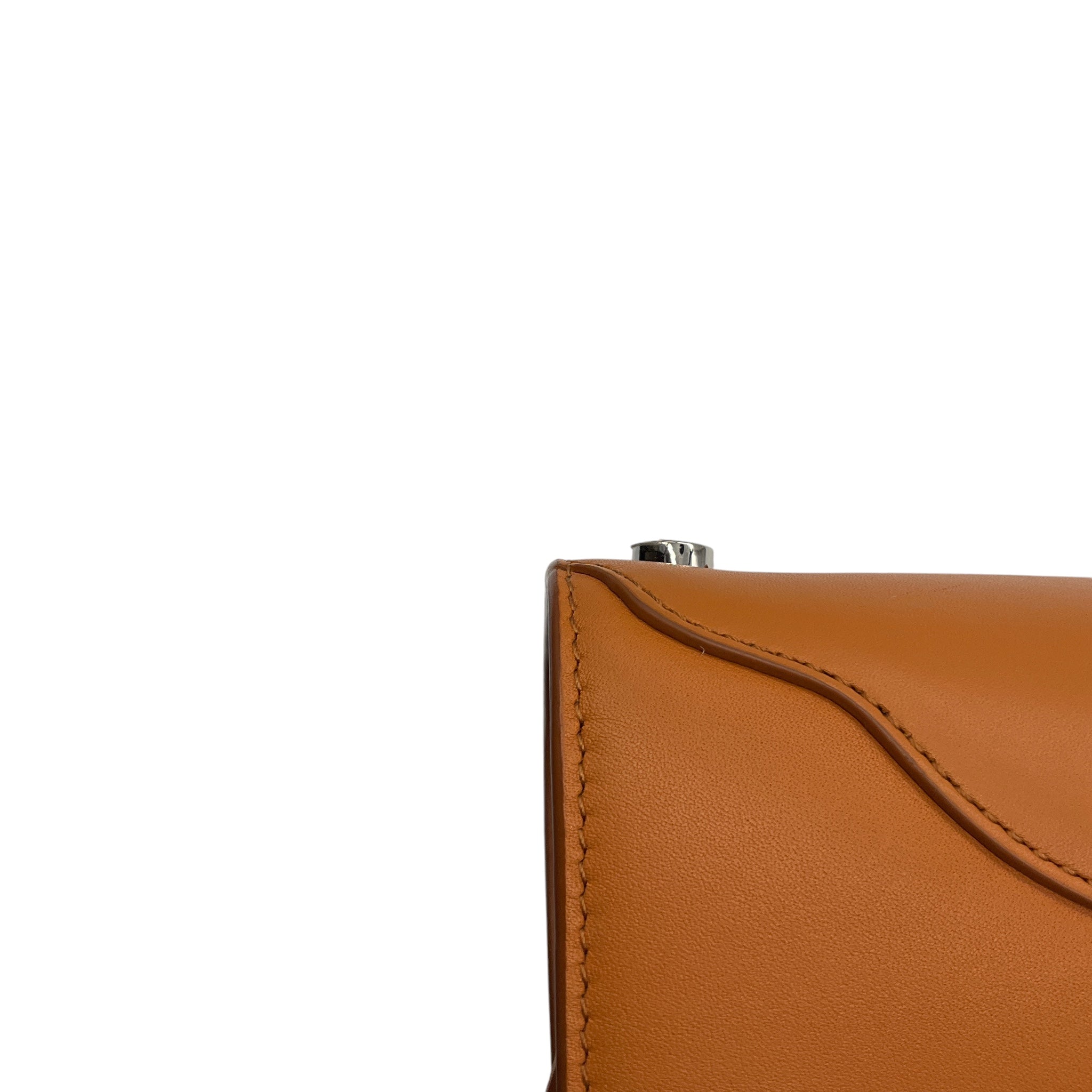 Loro Piana Tan Sesia Micro Smooth Satin Calf Leather Handbag