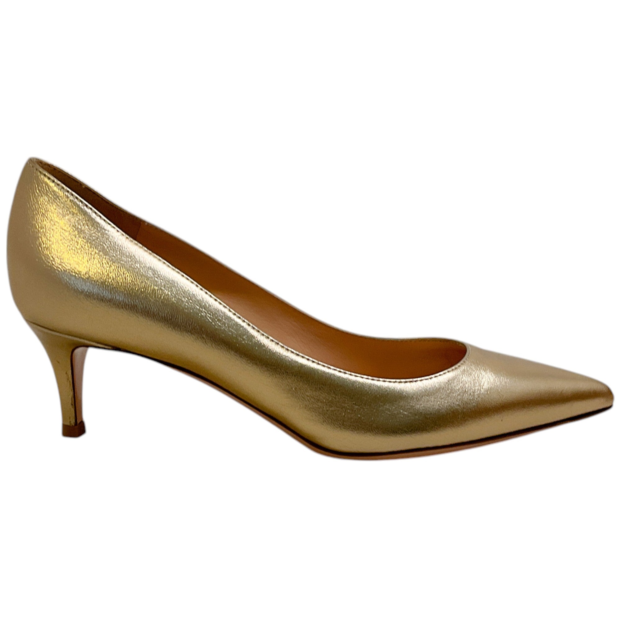 Gianvito Rossi Mekong Gold Gianvito 55 Pumps