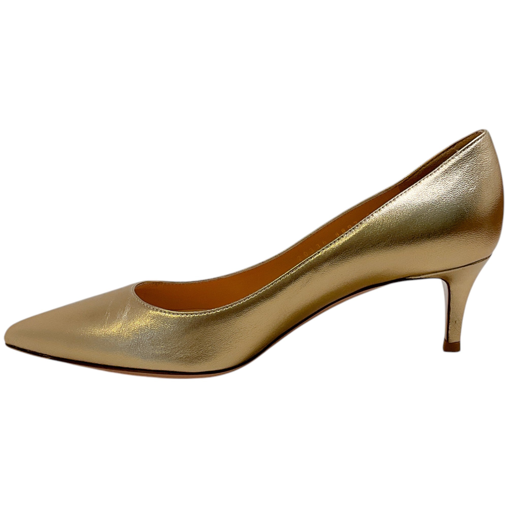 Gianvito Rossi Mekong Gold Gianvito 55 Pumps