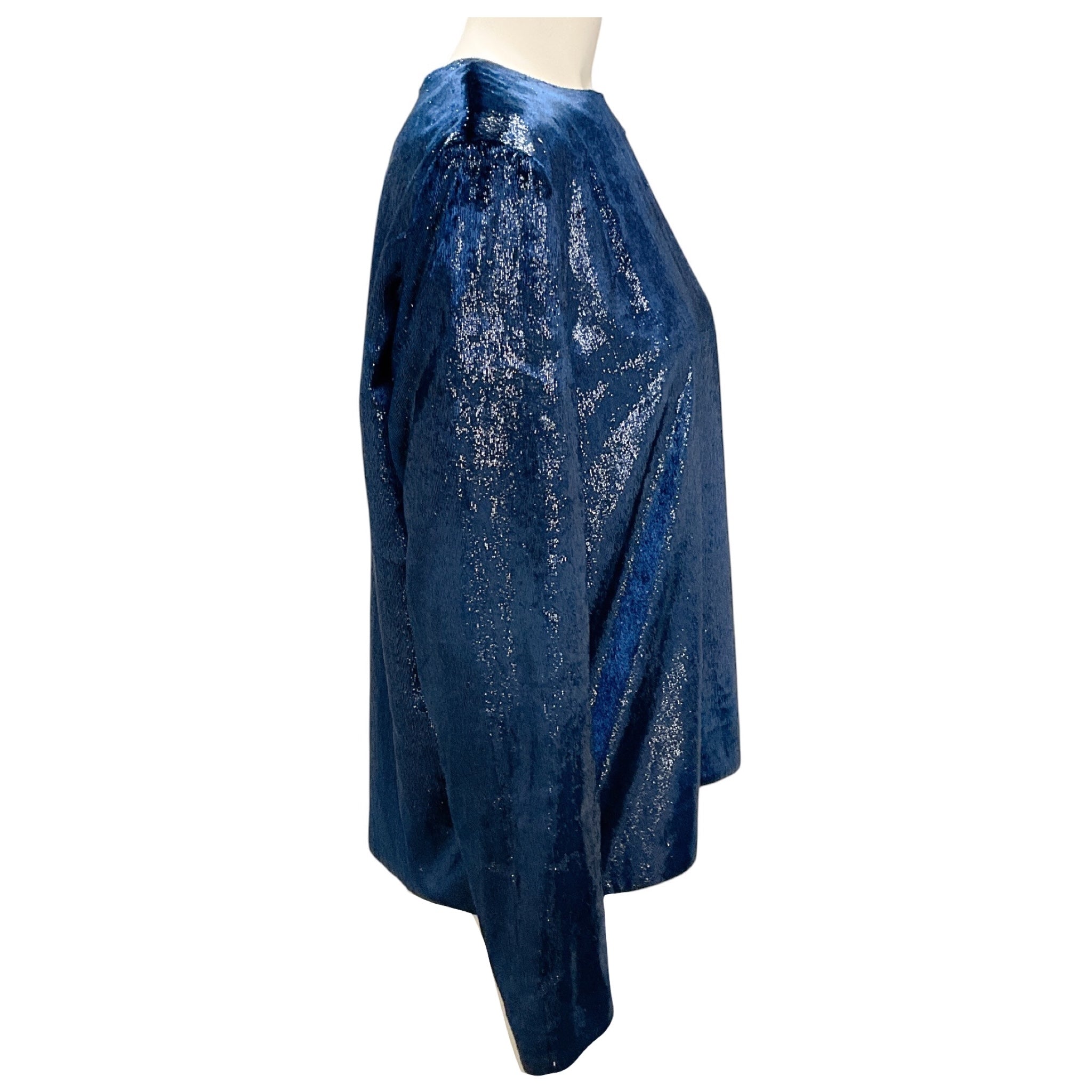Tibi Blue Shimmer Velvet Top