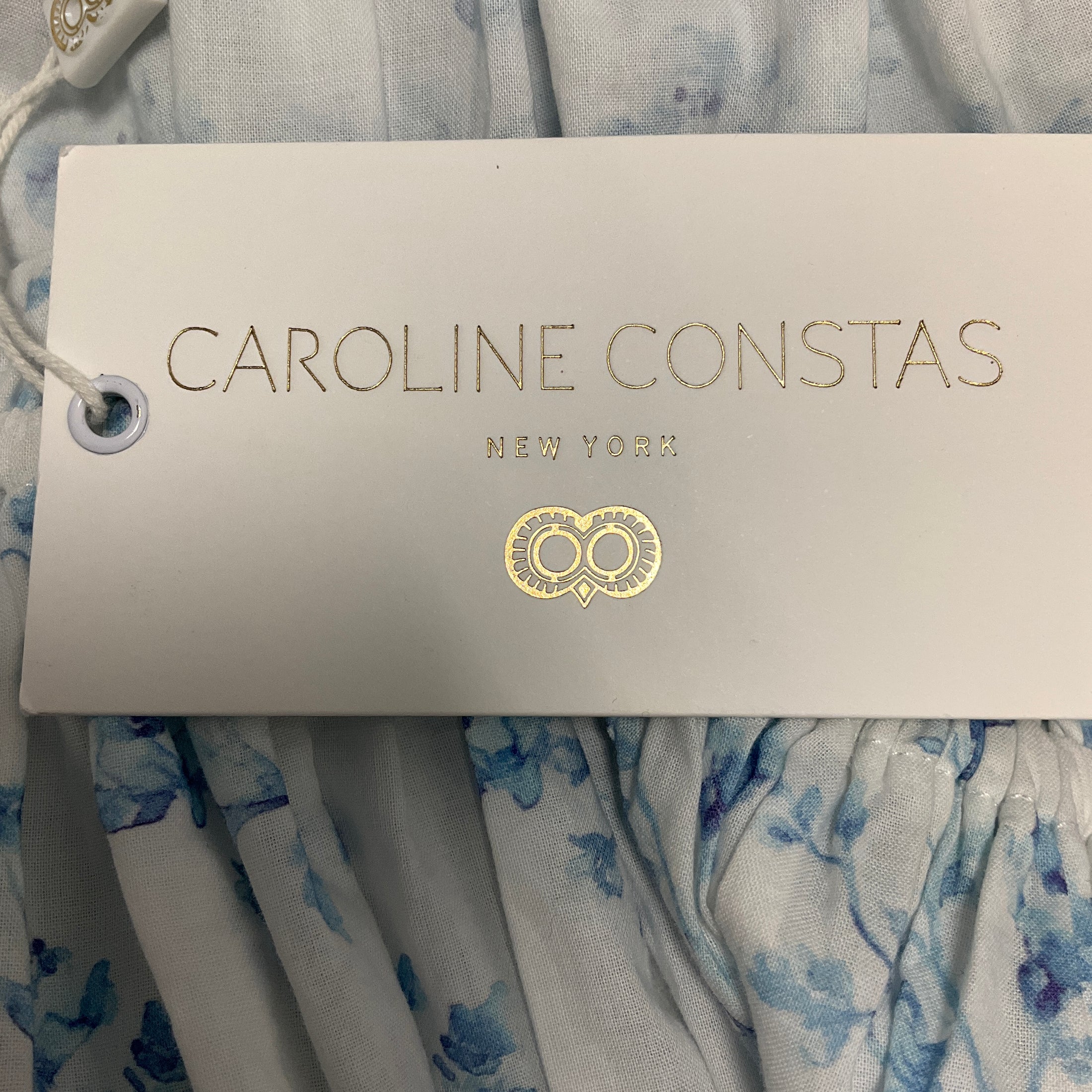 Caroline Constas Blue Watercolor Floral Sage Mini Dress
