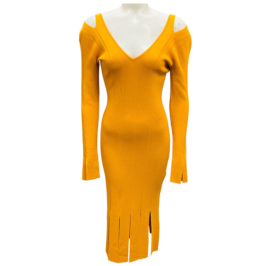 Cushnie et Ochs Marigold Viscose Knit Long Sleeve Fringe Dress