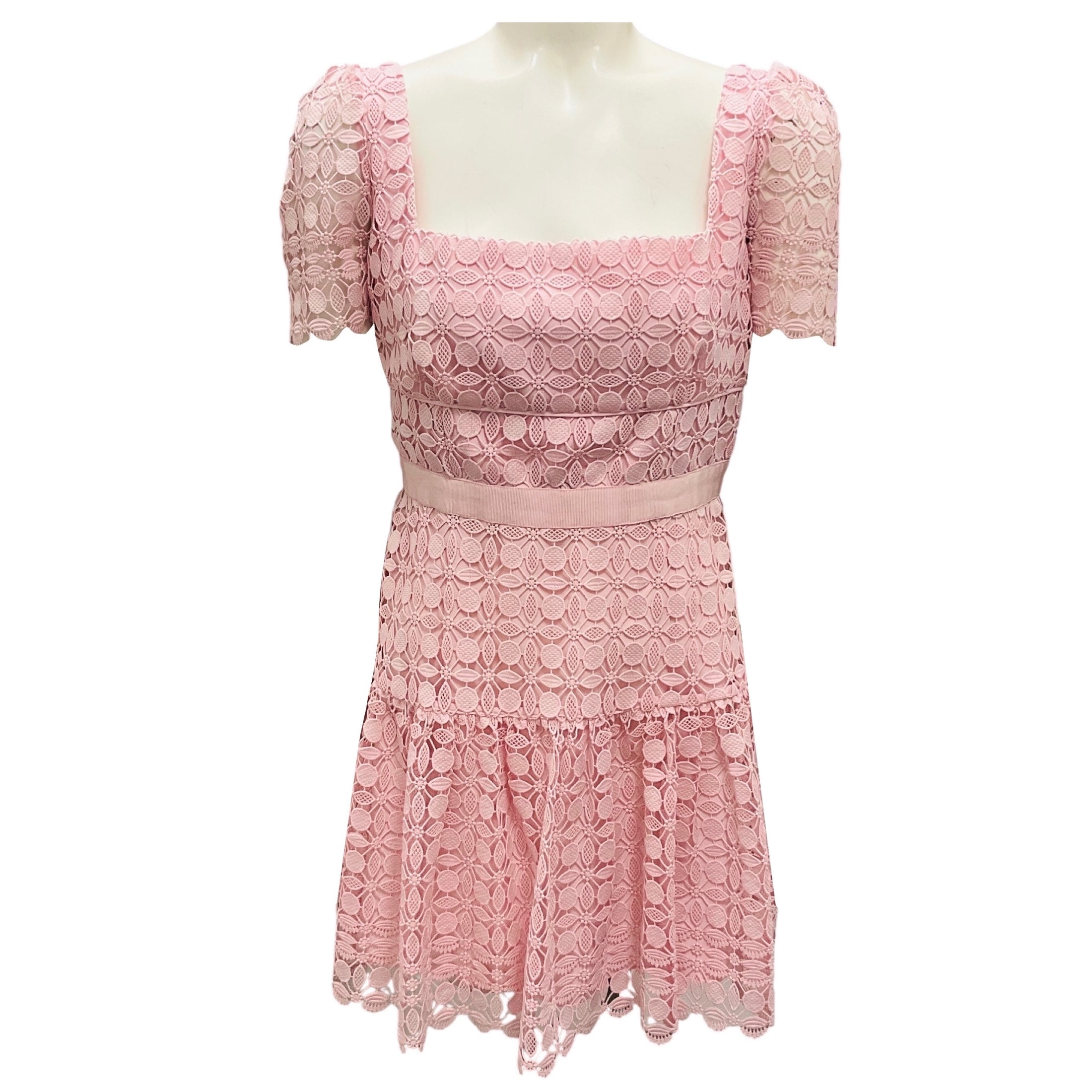 Self-Portrait Pink Petal Lace Detail Short Sleeved Mini Dress