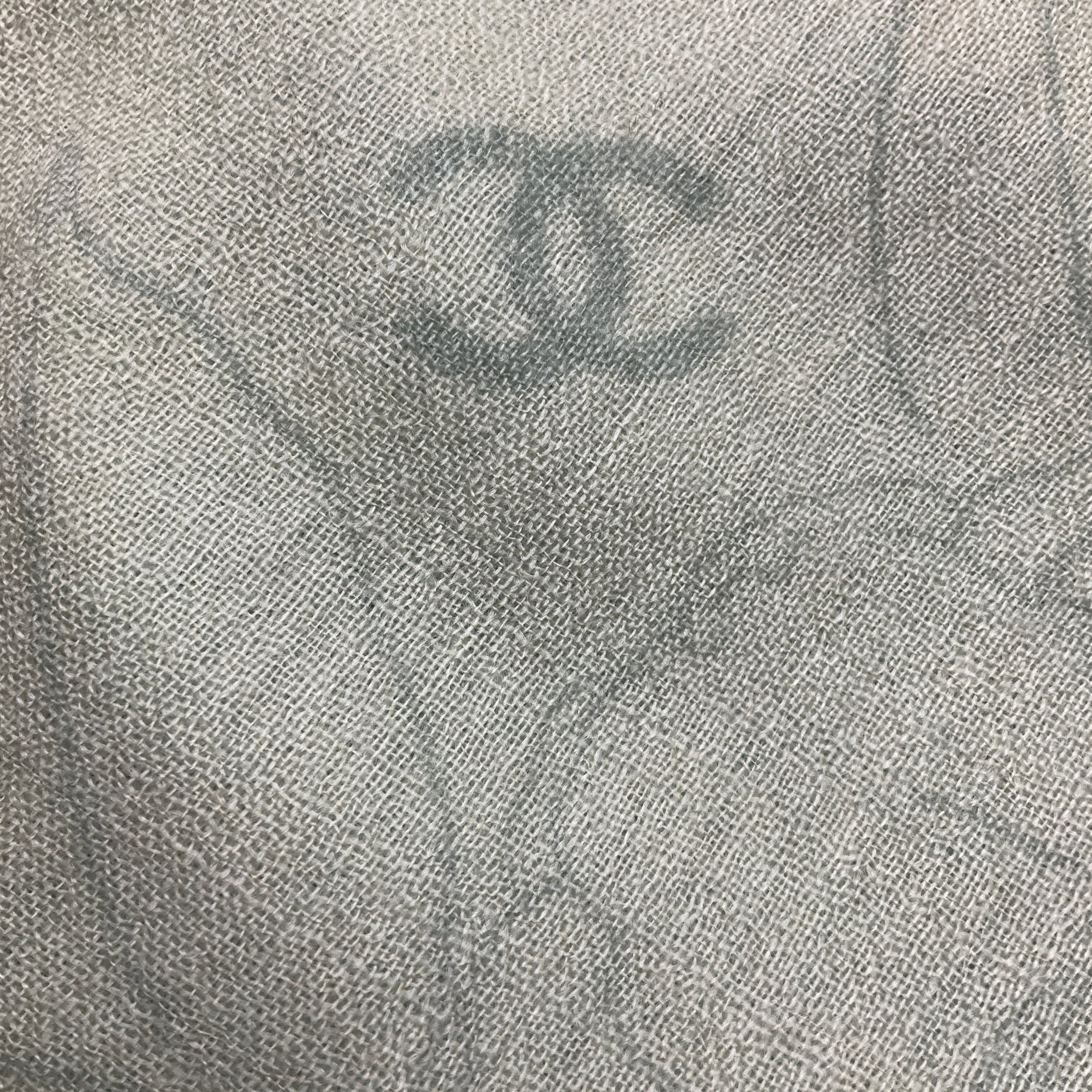 Chanel Light Green Ombre Effect CC Logo and Camellia Print Fringed Sheer Cashmere Scarf