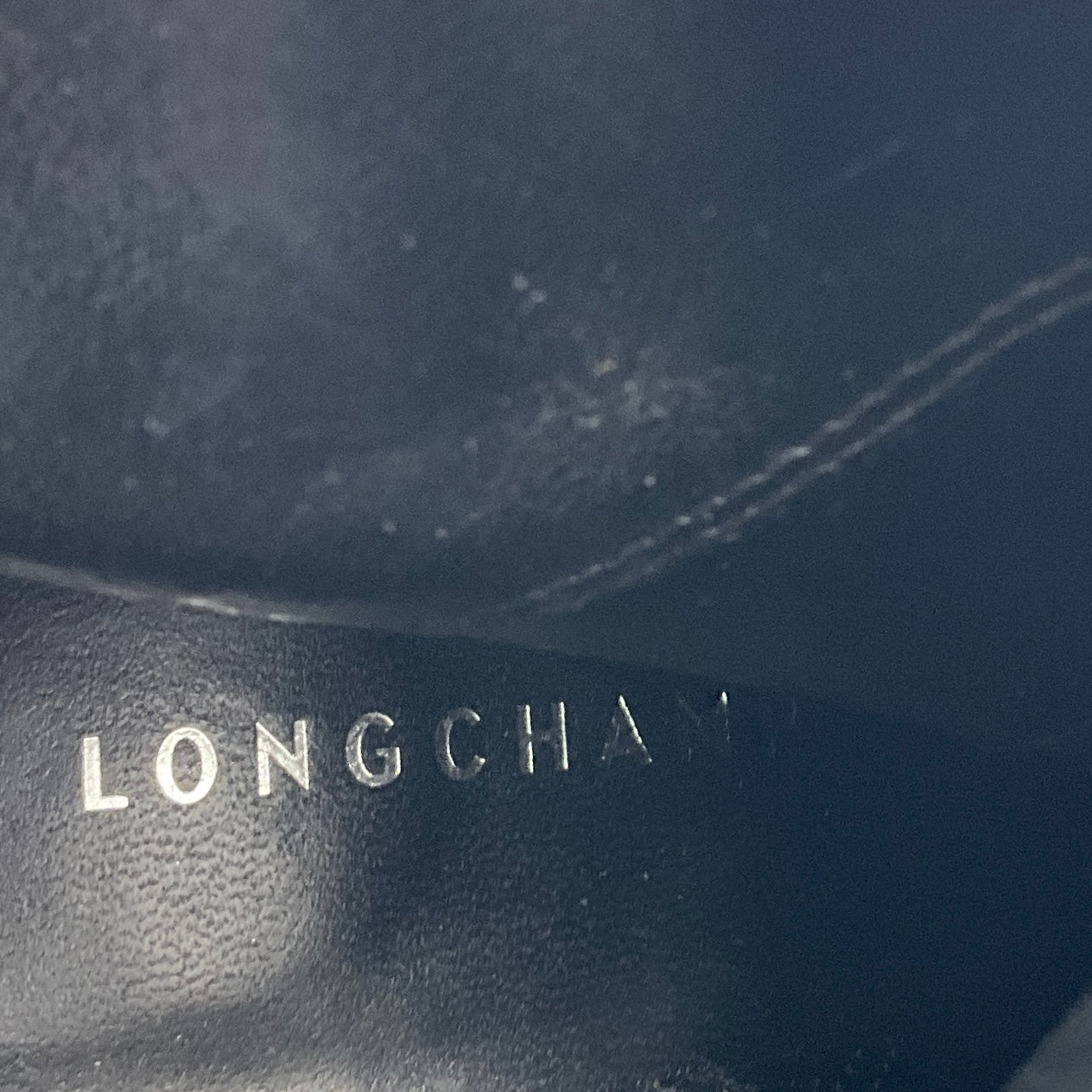 Longchamp Brown Fringed Suede Ankle Boots