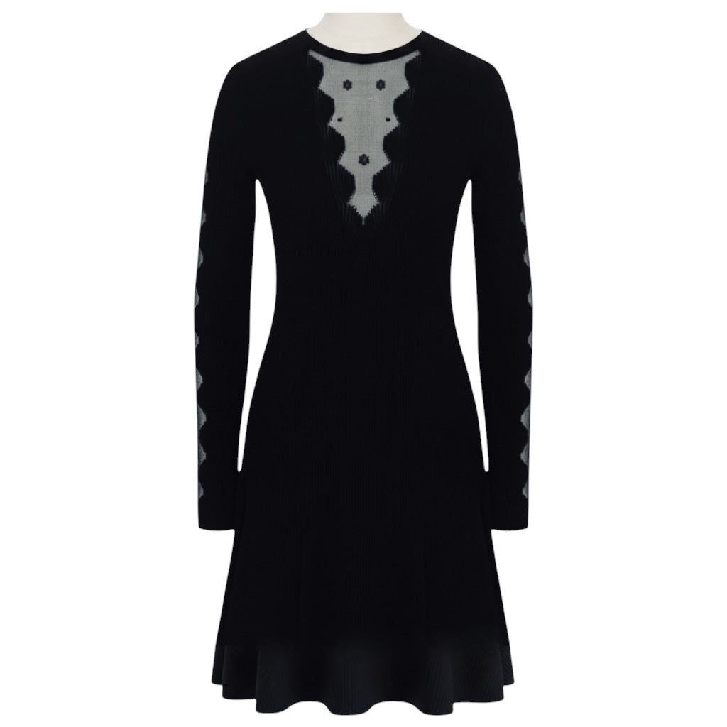 Alexander McQueen Black Mesh Paneled Trapeze Midi Dress