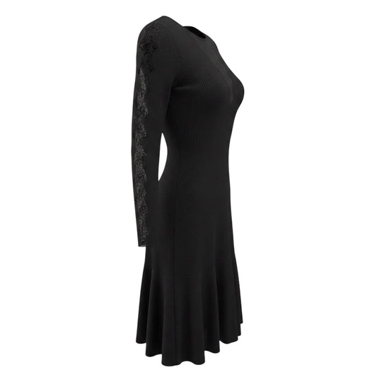 Alexander McQueen Black Mesh Paneled Trapeze Midi Dress