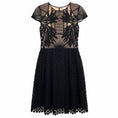 Load image into Gallery viewer, Erdem Black / Nude Shirley Guipure Lace and Broderie Anglaise Dress
