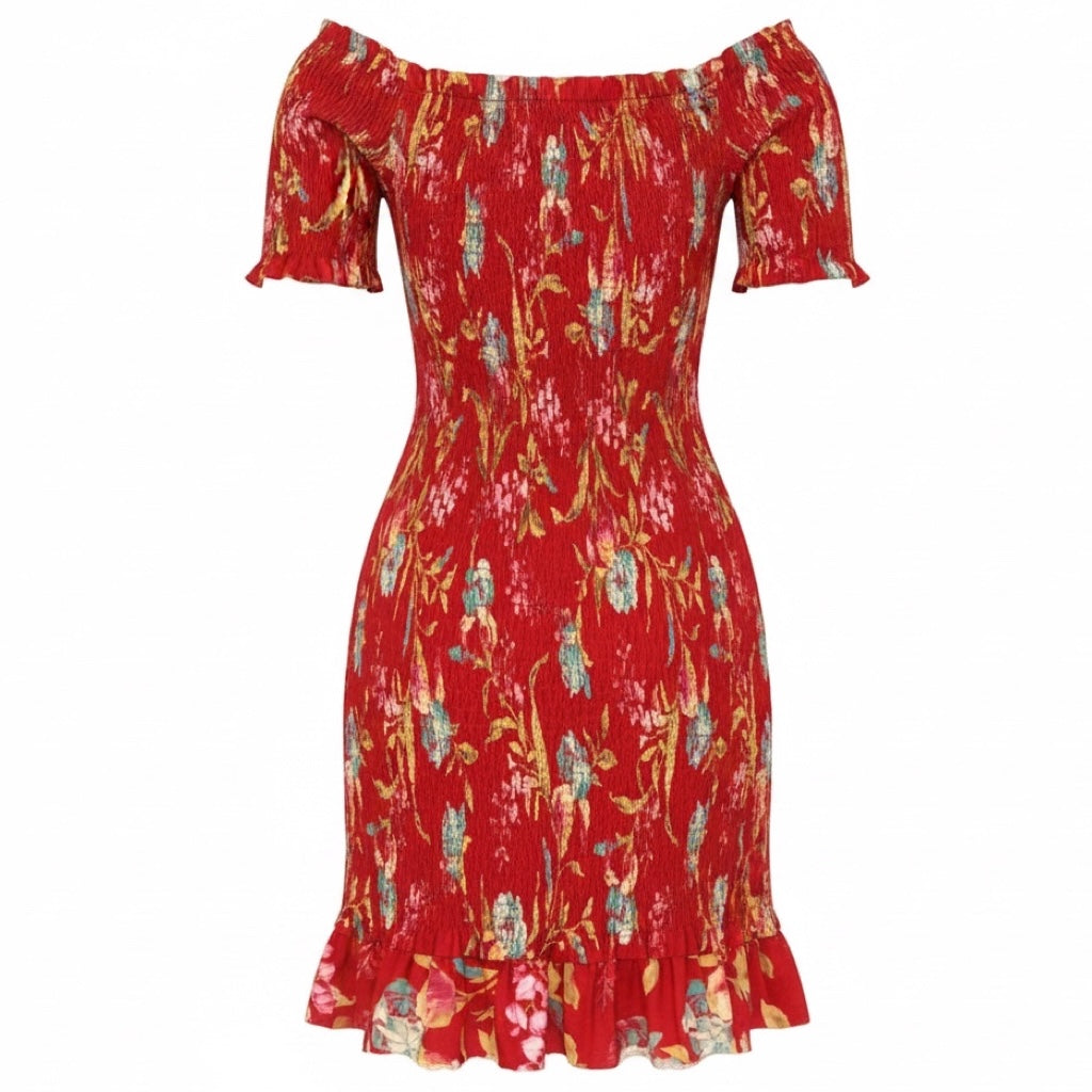 Zimmermann Red Washed Iris Corsair Shirred Flutter Mini Dress