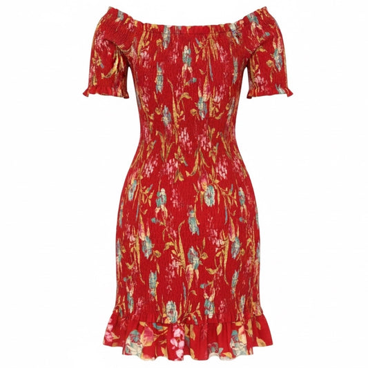 Zimmermann Red Washed Iris Corsair Shirred Flutter Mini Dress