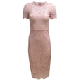 Load image into Gallery viewer, Valentino Light Pink Guipure Lace Short Sleeved Fitted Midi Formal Dress
